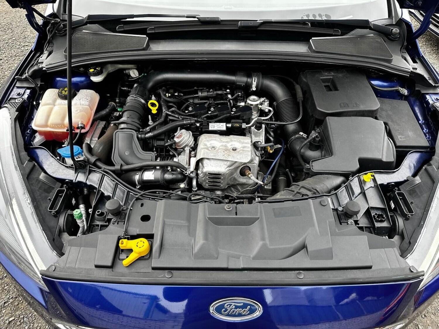 Used Ford Focus 2017 for sale - 77688975: Photo 25