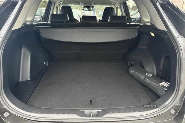 Used Toyota RAV4 2023 for sale - 76201636: Photo 13