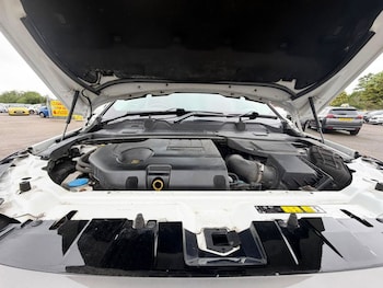Used Land Rover Discovery Sport 2019 for sale - 78793028: Photo