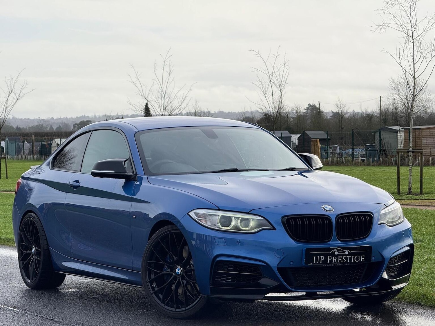 Used BMW 2 Series 2017 for sale - 77884397: Photo 10