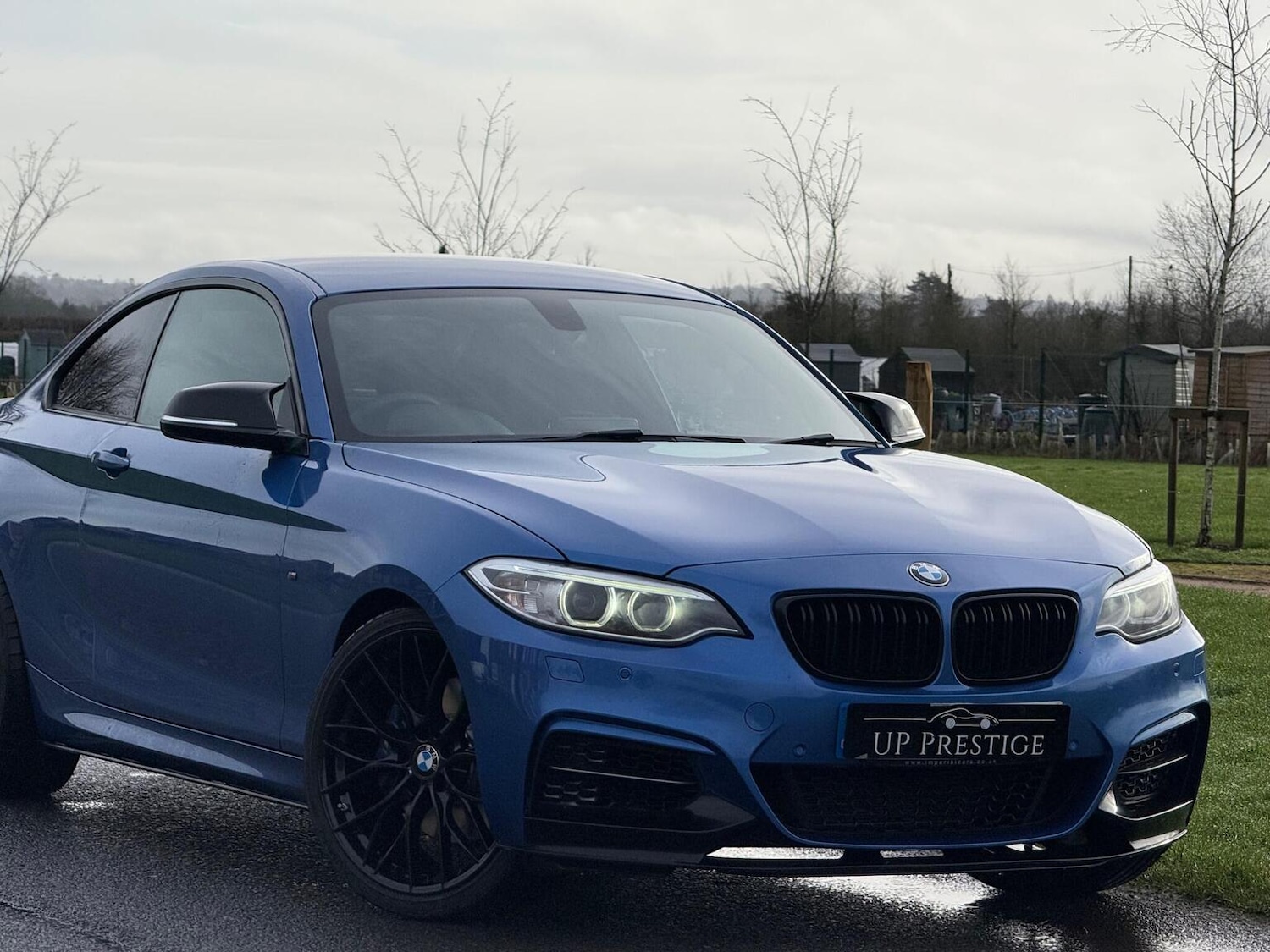 Used BMW 2 Series 2017 for sale - 77884397: Photo 11