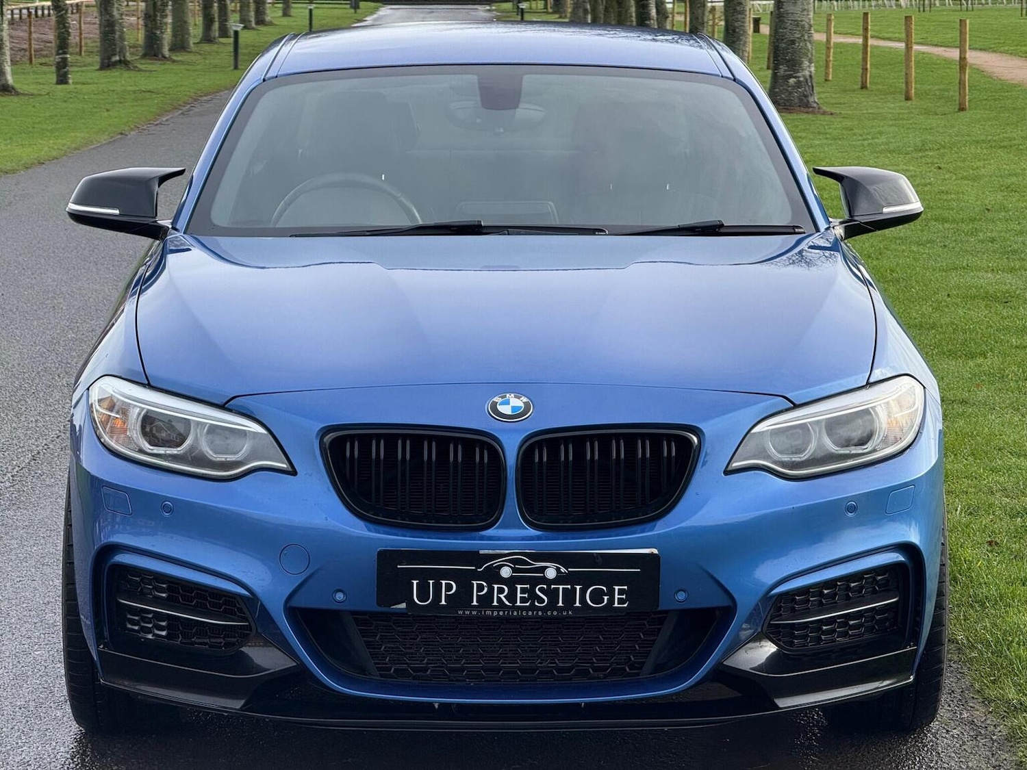 Used BMW 2 Series 2017 for sale - 77884397: Photo 15