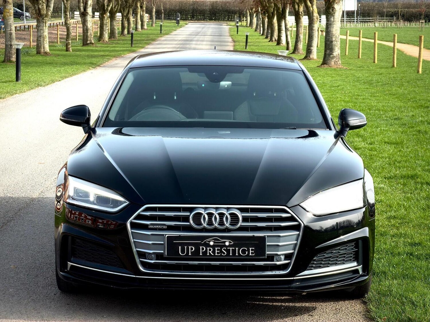 Used Audi A5 2019 for sale - 77884383: Photo 3