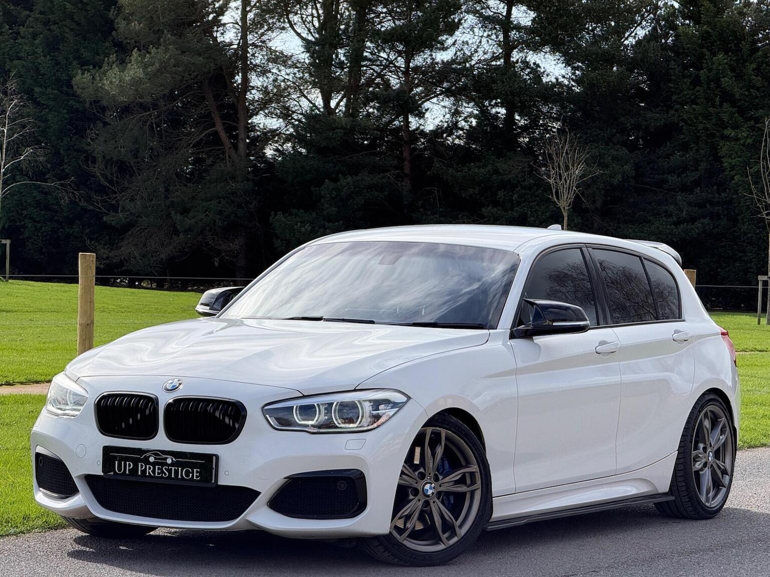 Used BMW 1 Series 2017 for sale - 77880942: Photo 2