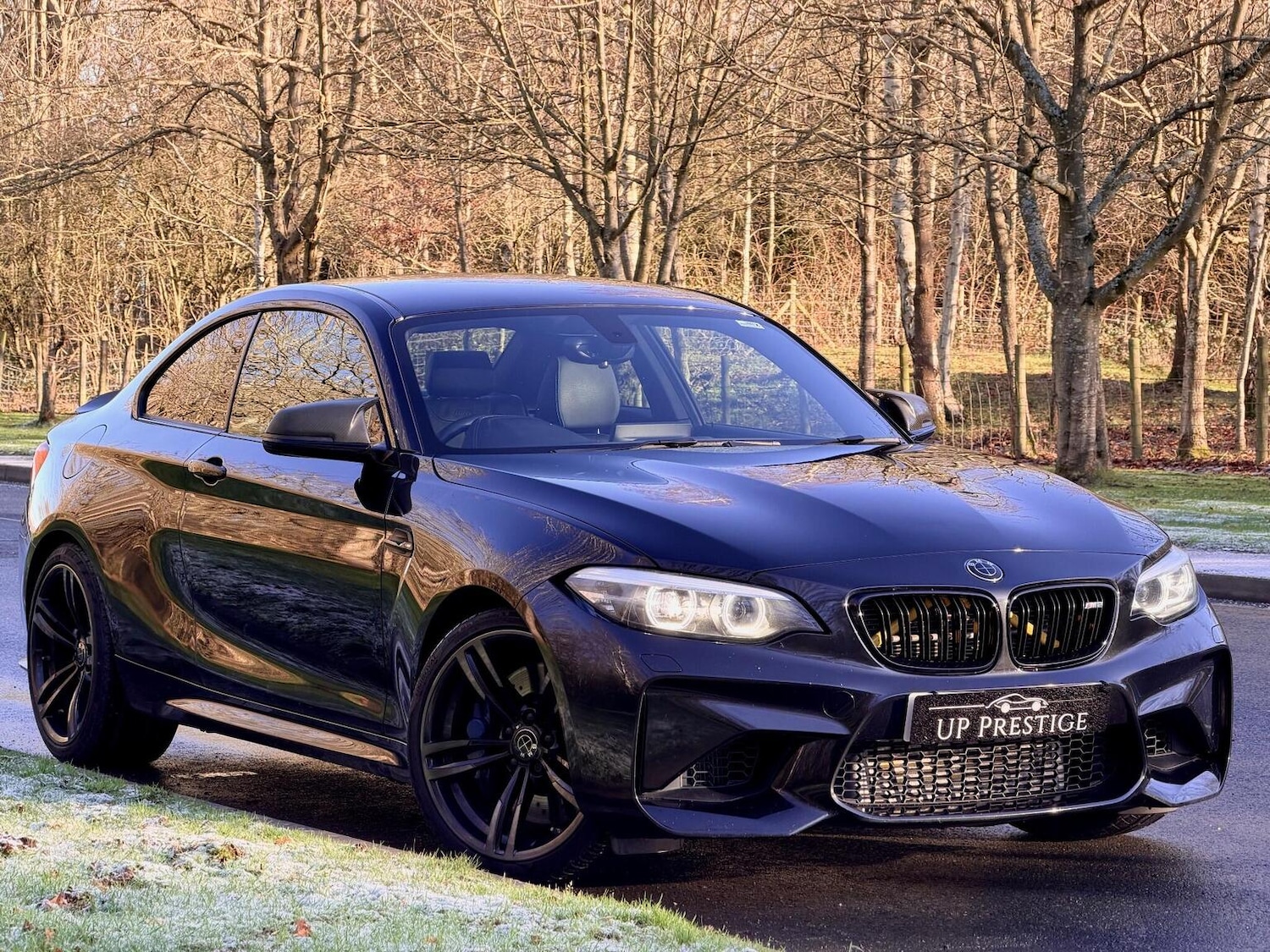 Used BMW M2 2018 for sale - 77884407: Photo 6
