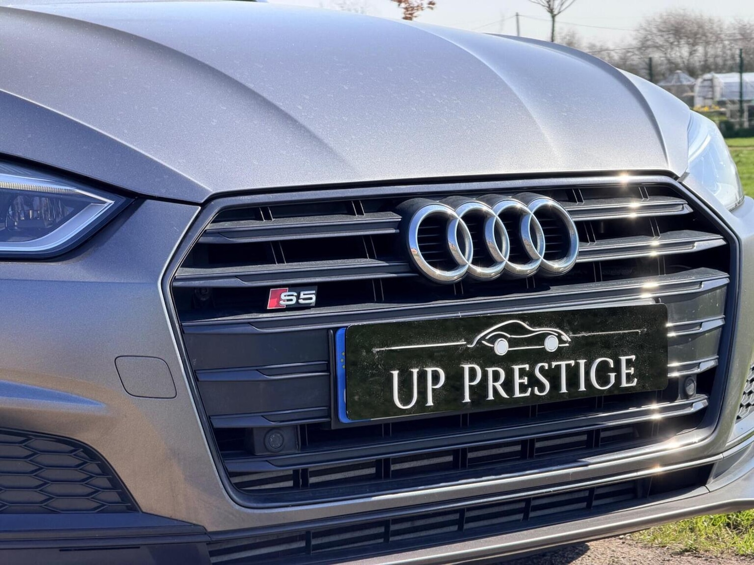 Used Audi A5 2018 for sale - 77961933: Photo 12