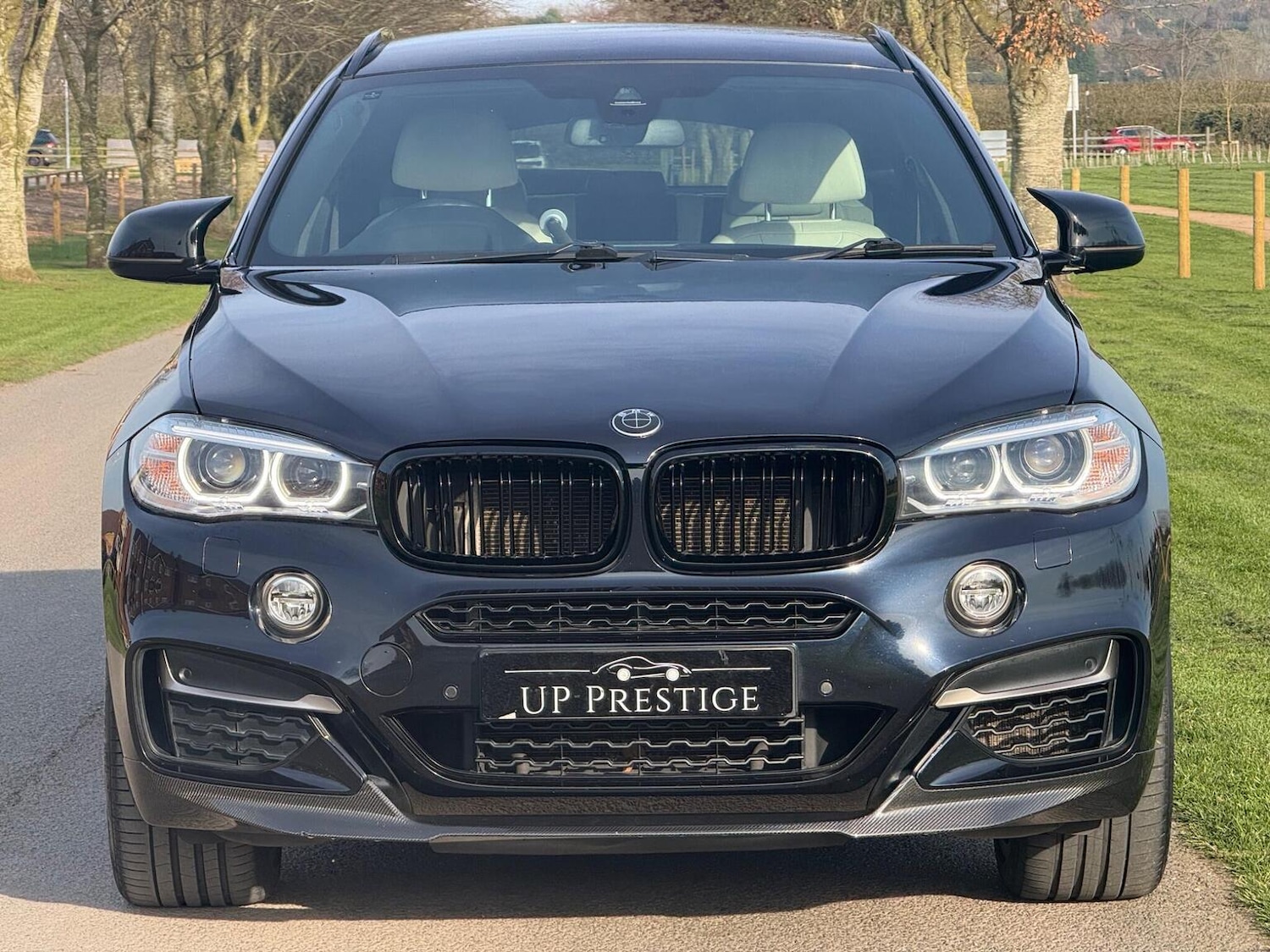 Used BMW X6 2015 for sale - 77954013: Photo 8