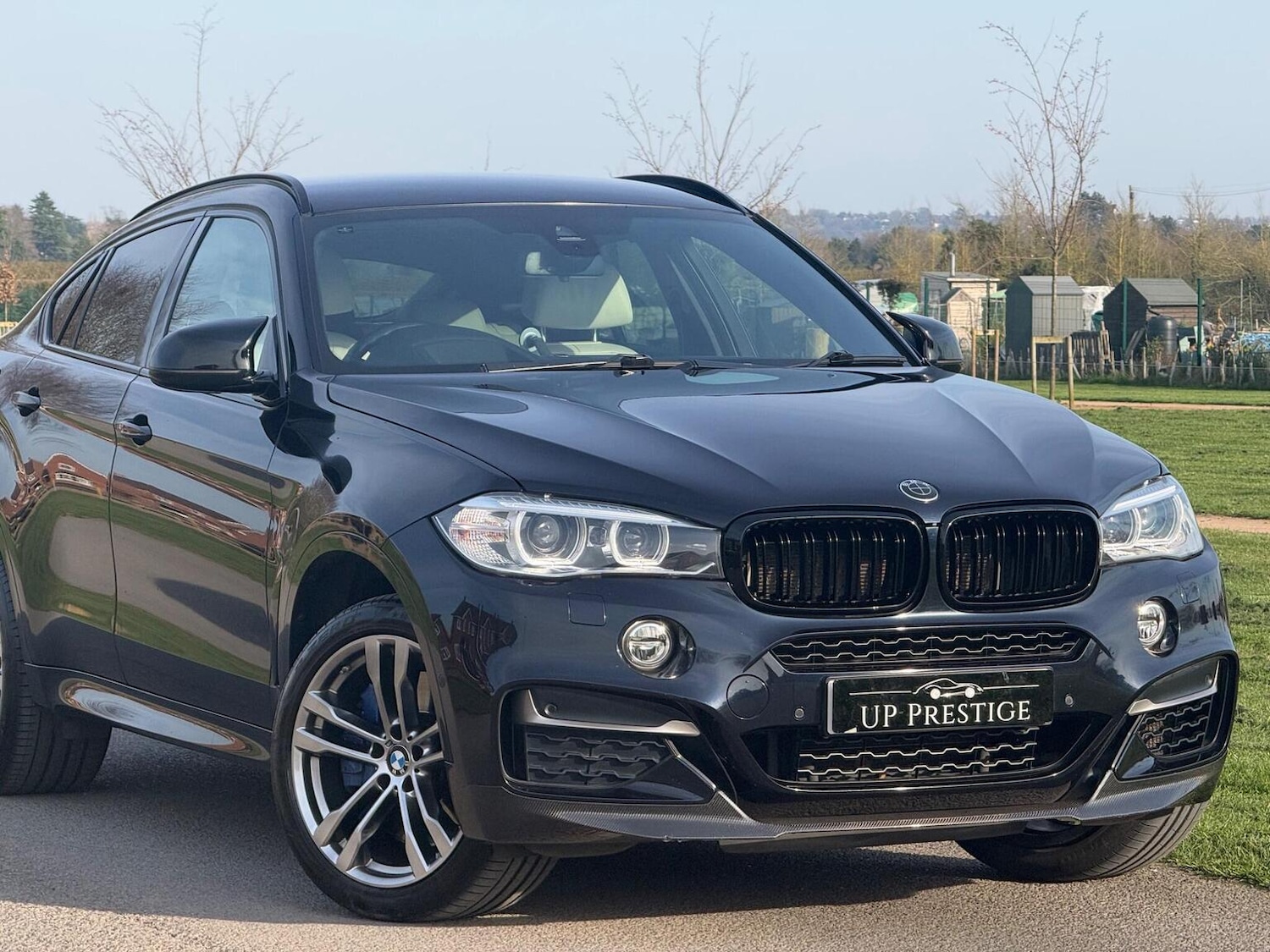 Used BMW X6 2015 for sale - 77954013: Photo 9