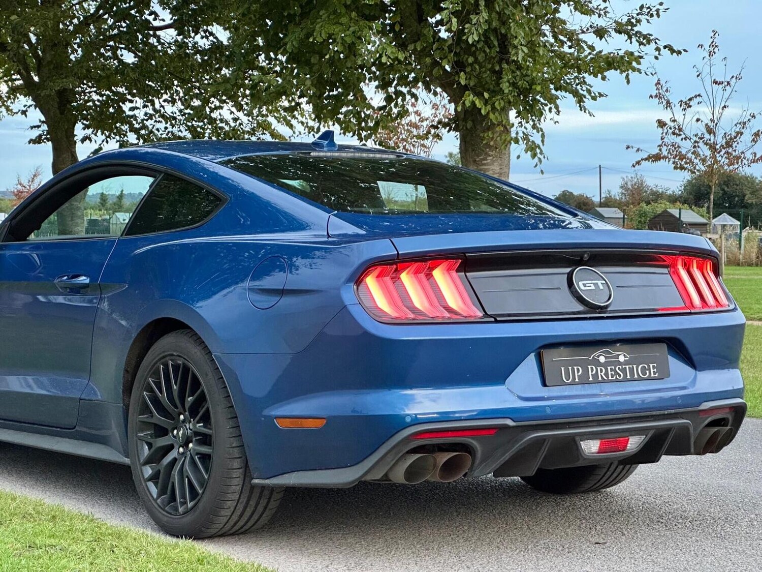 Used Ford Mustang 2022 for sale - 77884426: Photo 14