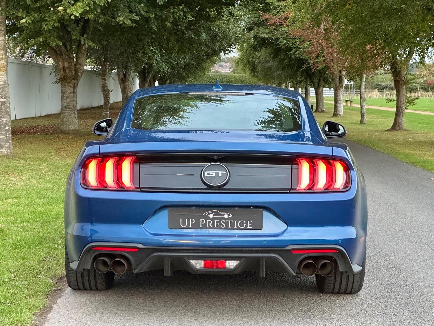 Used Ford Mustang 2022 for sale - 77884426: Photo 16