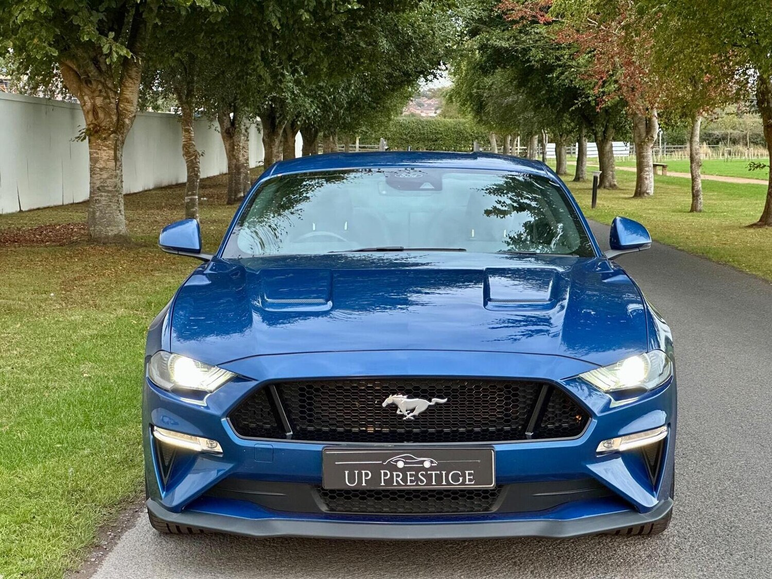 Used Ford Mustang 2022 for sale - 77884426: Photo 6