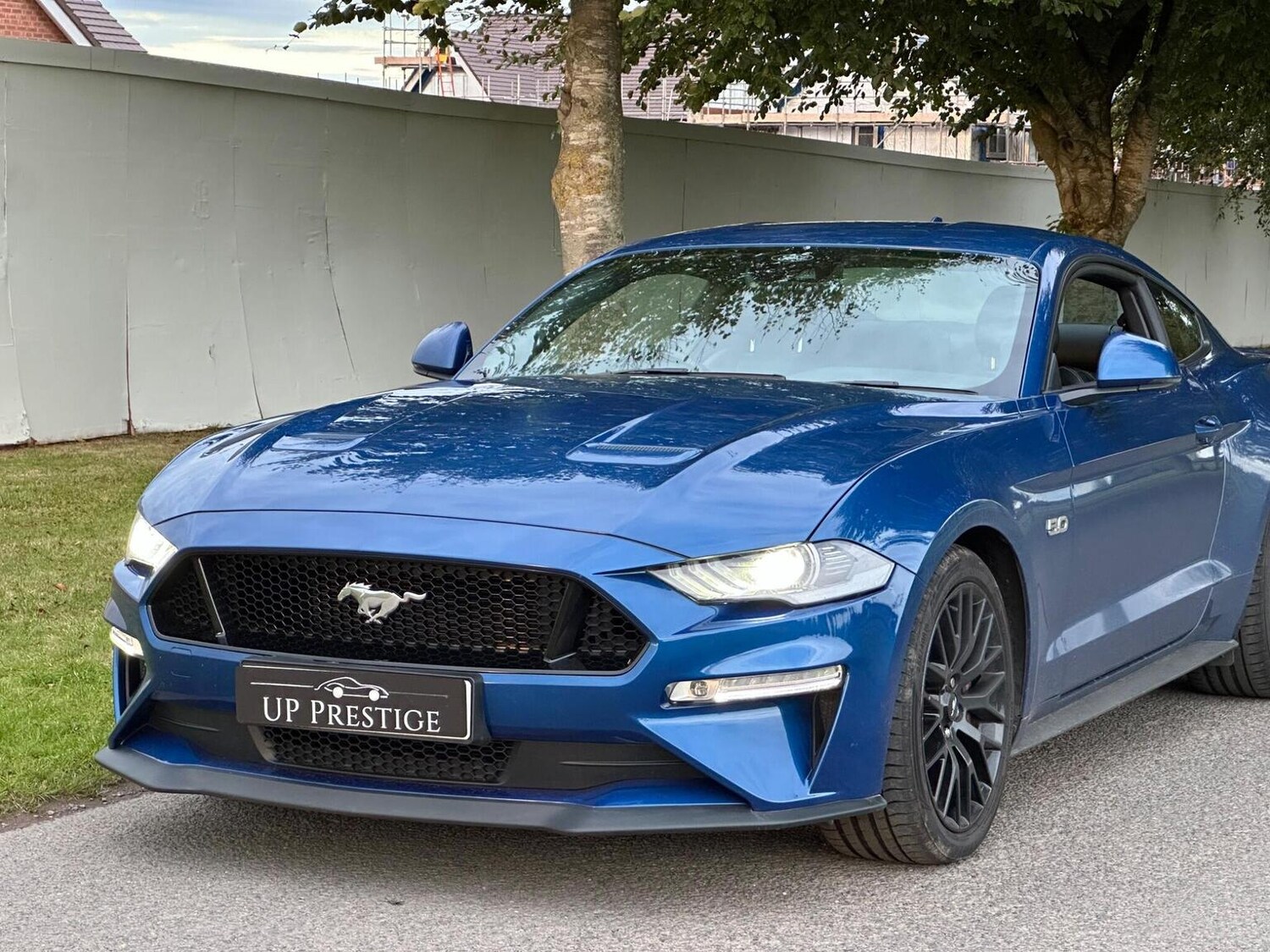 Used Ford Mustang 2022 for sale - 77884426: Photo 8