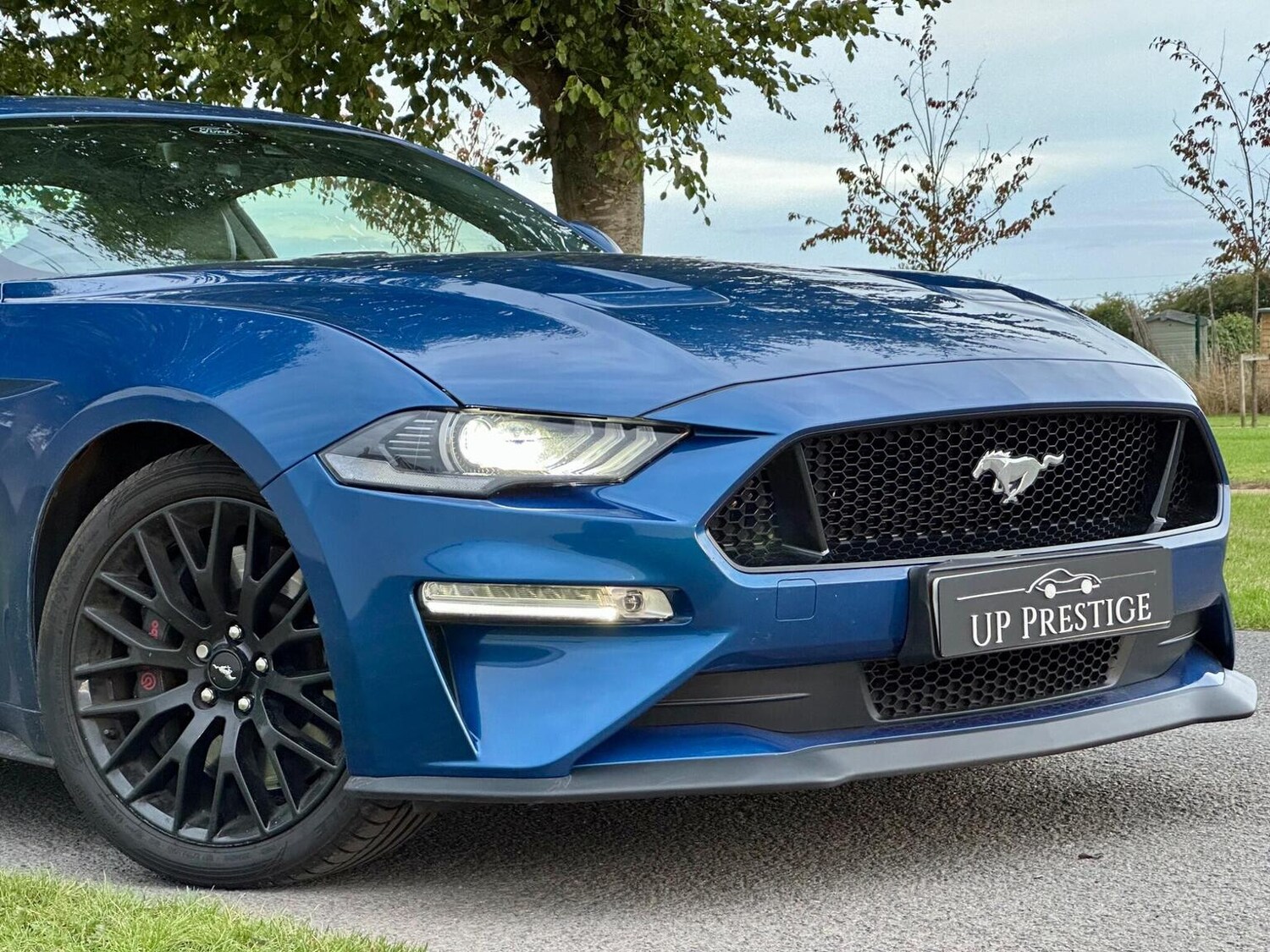 Used Ford Mustang 2022 for sale - 77884426: Photo 9