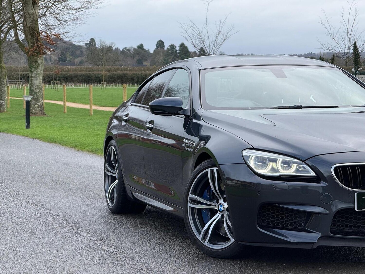 Used BMW M6 2015 for sale - 77884389: Photo 11