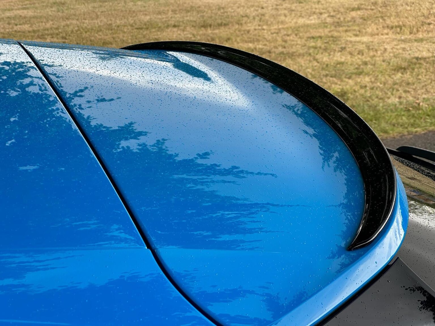 Used Audi RS Q3 2023 for sale - 77884424: Photo 13