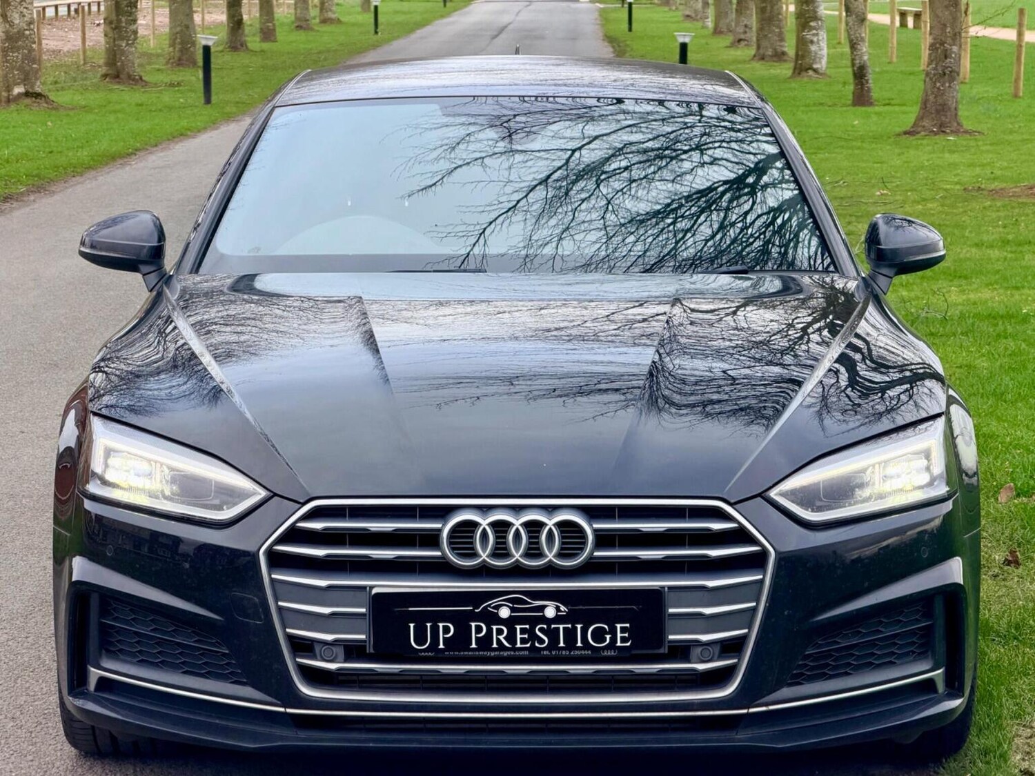 Used Audi A5 2019 for sale - 77884391: Photo 6