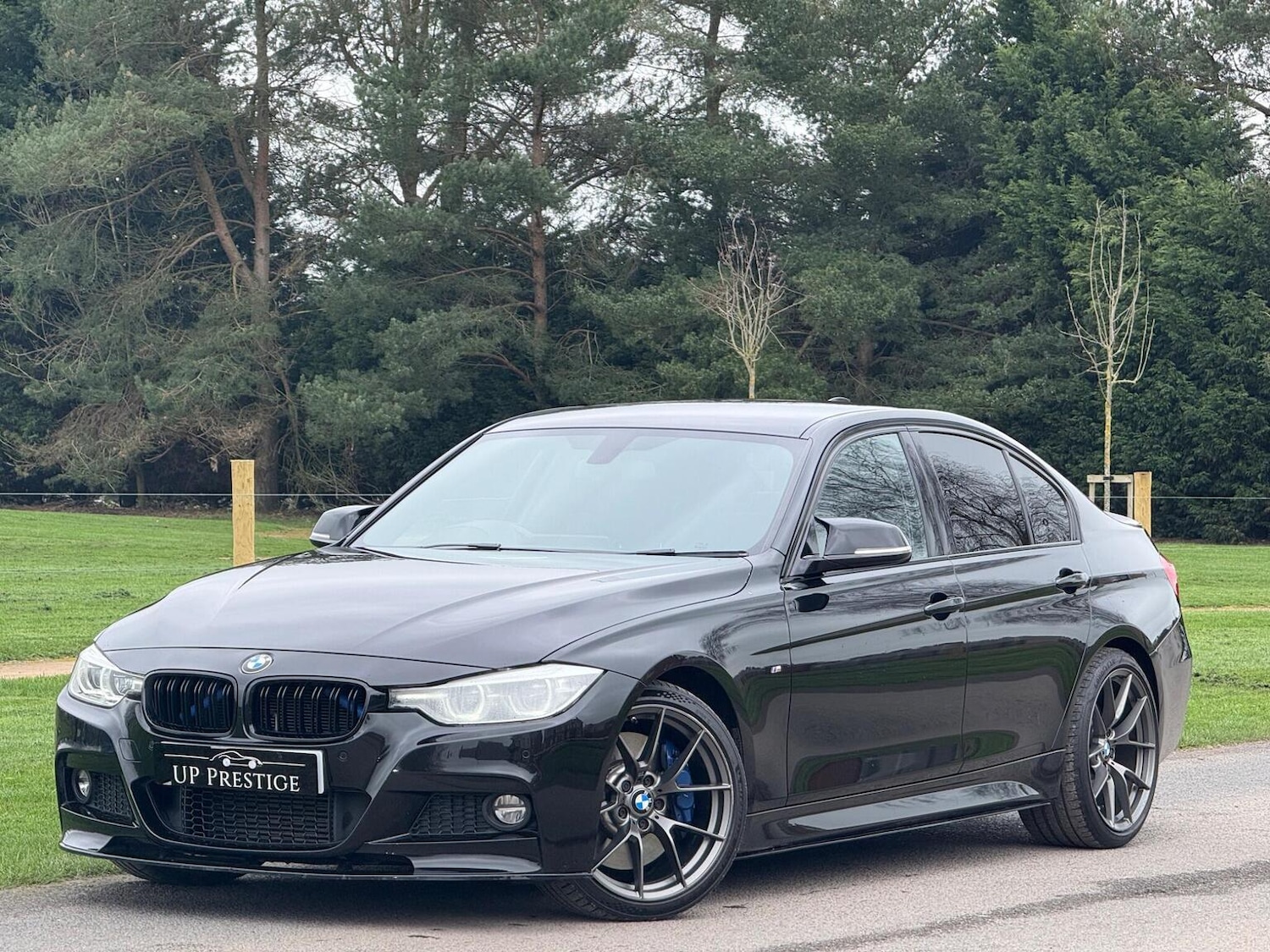 Used BMW 3 Series 2015 for sale - 77891559: Photo 2