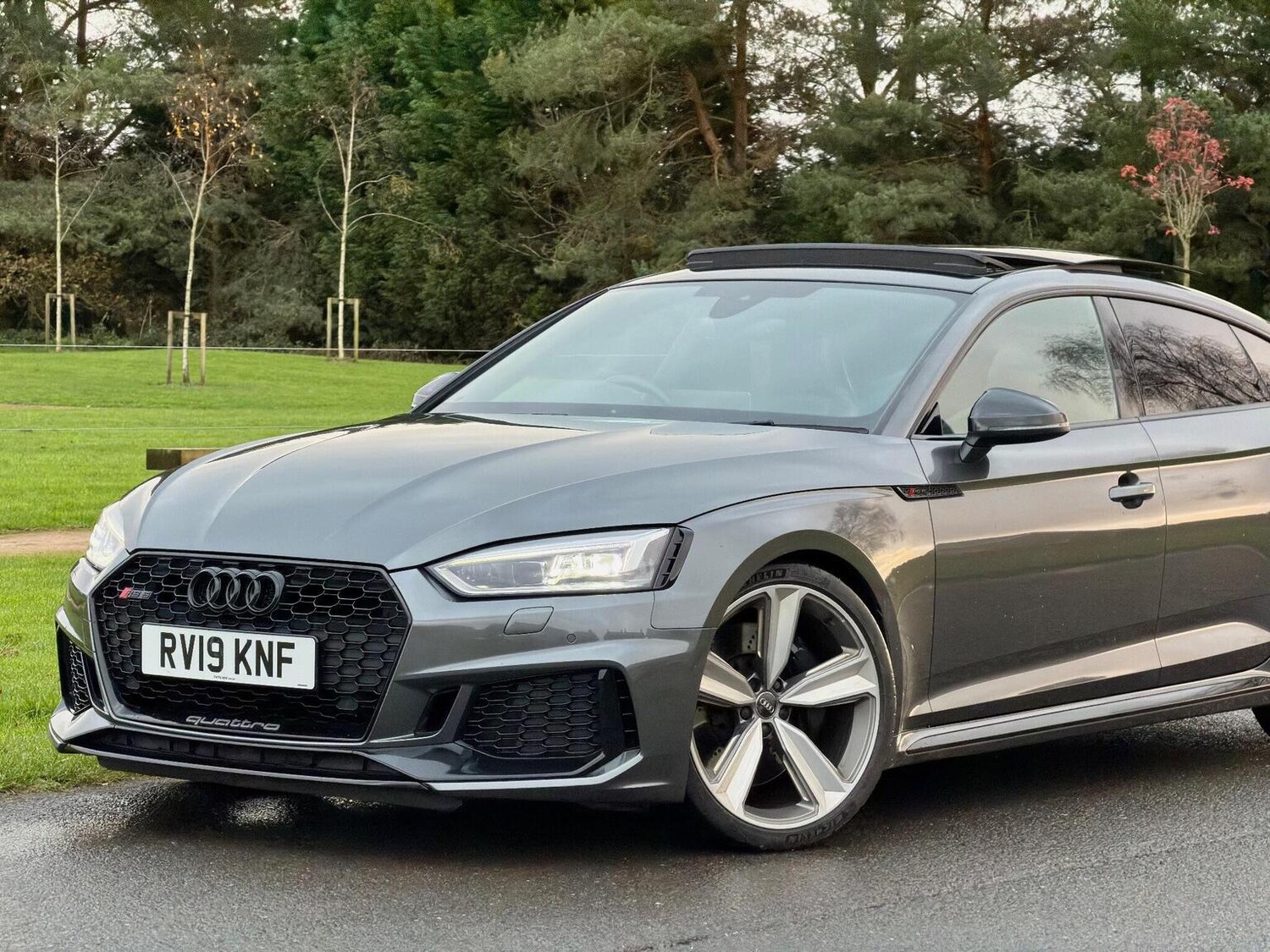 Used Audi RS5 2019 for sale - 77884413: Photo 8
