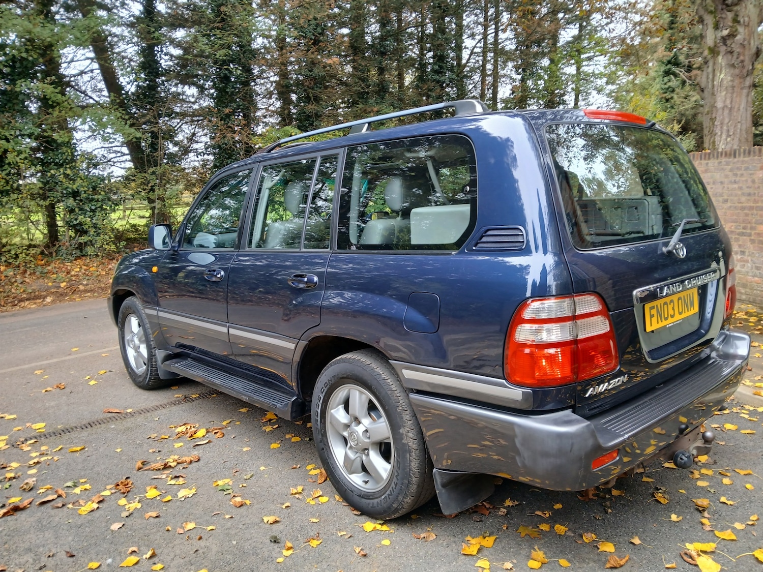 Used Toyota Land Cruiser Amazon 2003 for sale - 76218996: Photo 11