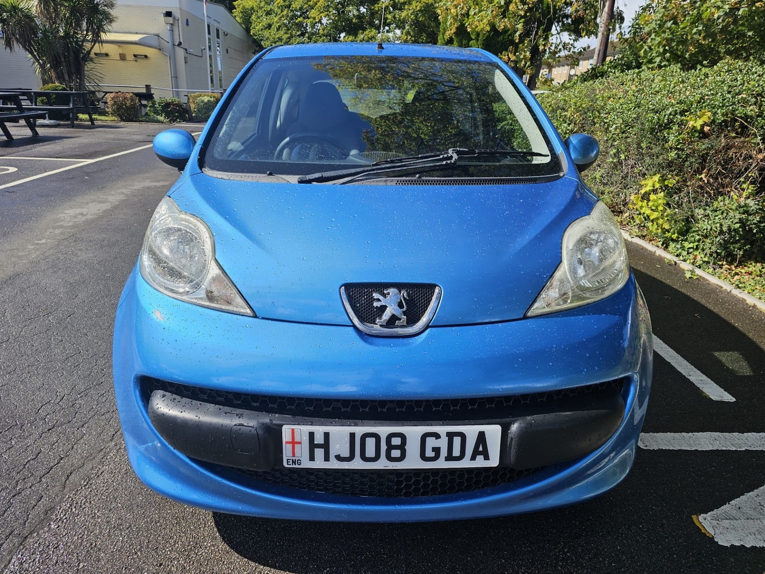Vehicle 12