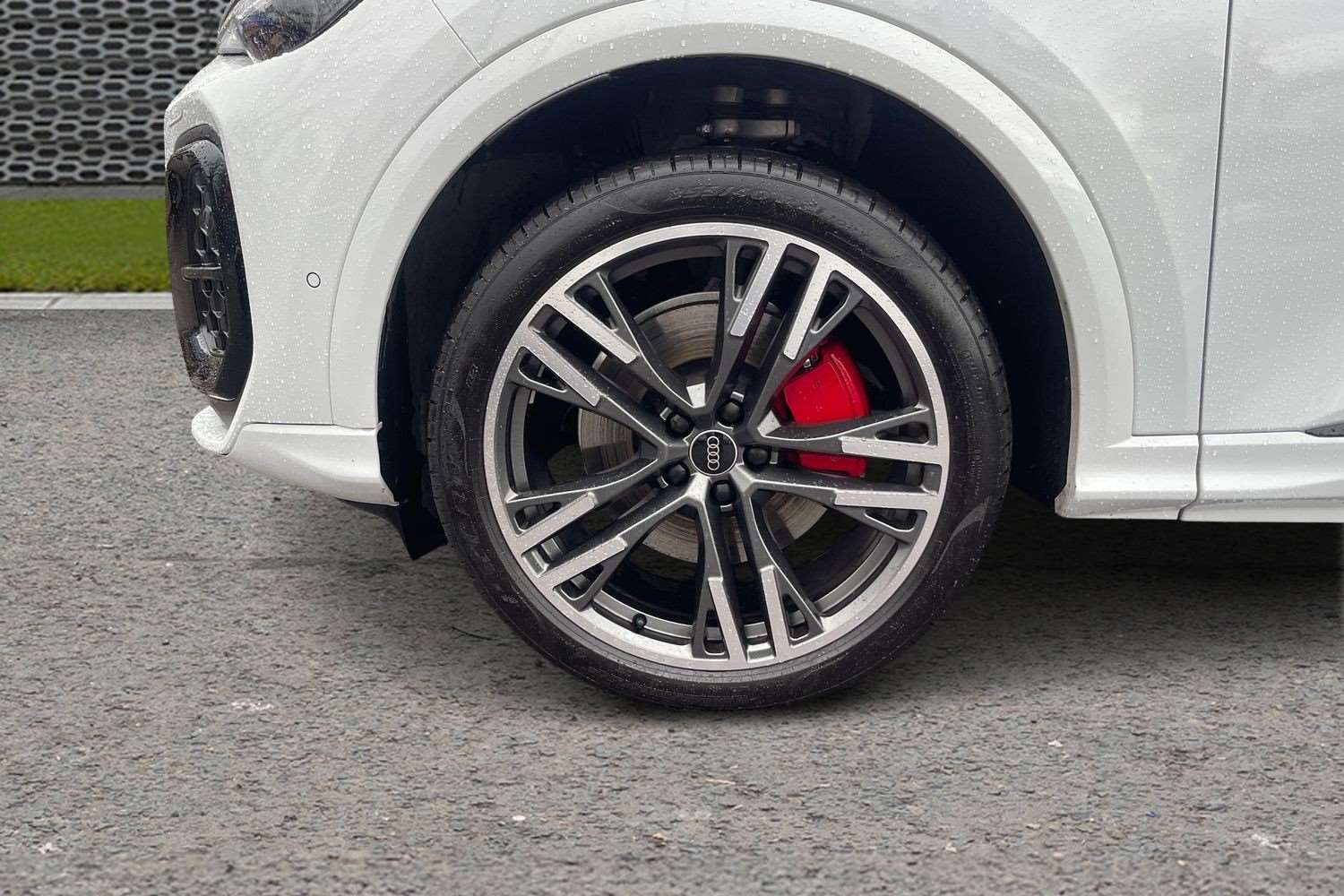 Used Audi Q5 2025 for sale - 76553046: Photo 11