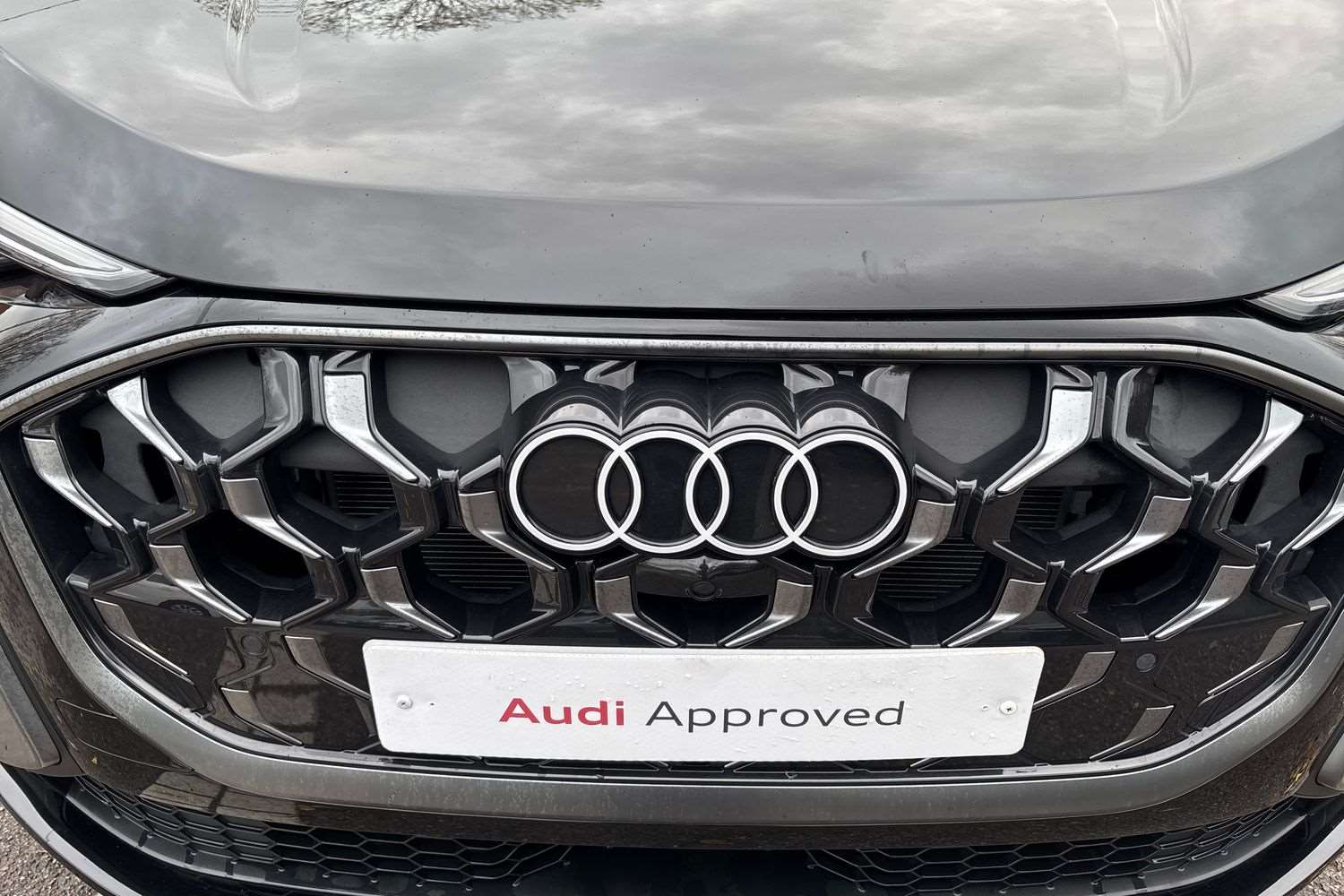 Used Audi Q5 2025 for sale - 76339547: Photo 32