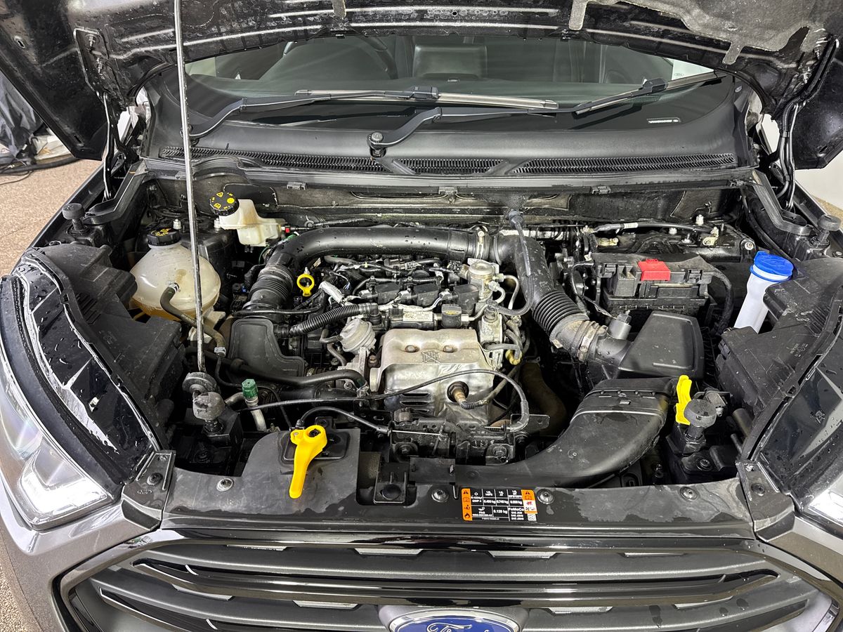 Used Ford Ecosport 2023 for sale - 77795173: Photo 33