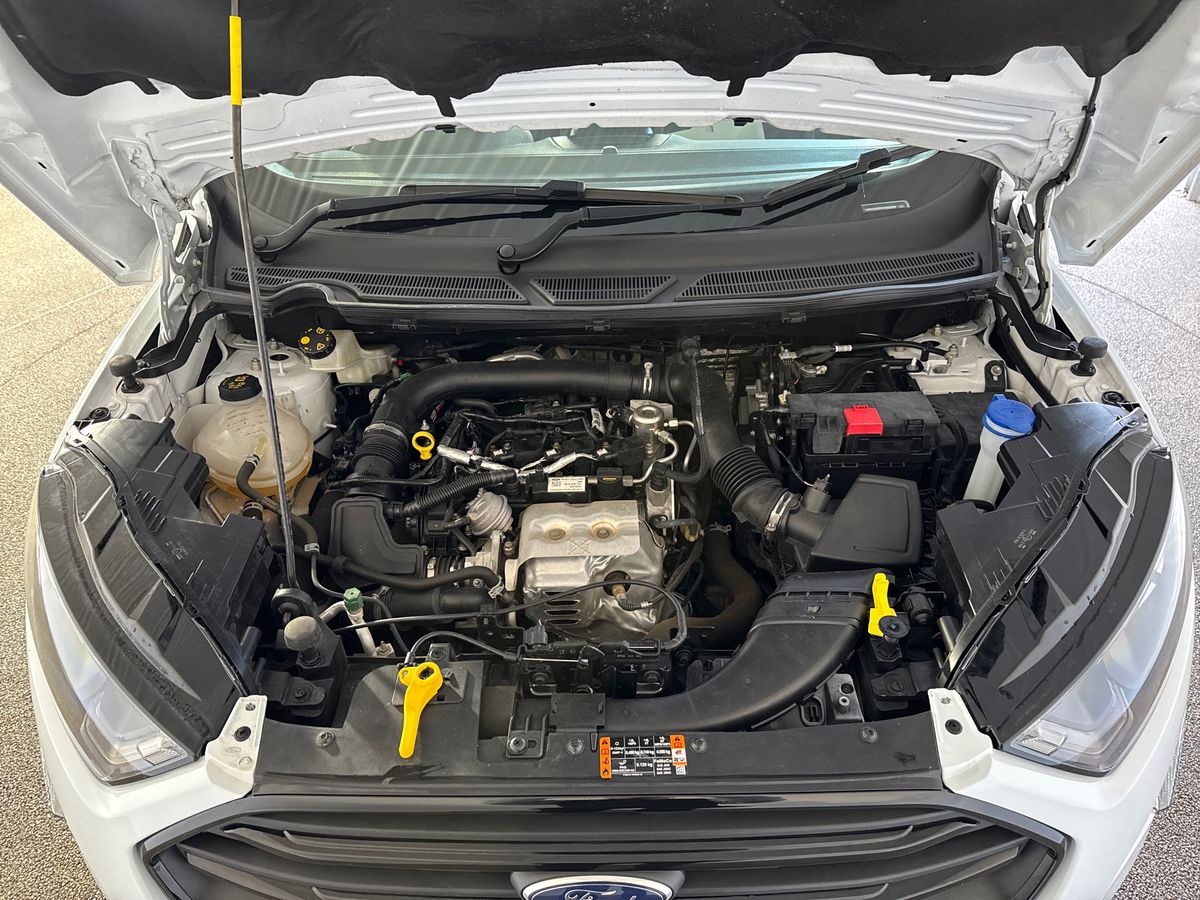 Used Ford Ecosport 2022 for sale - 76404792: Photo 33