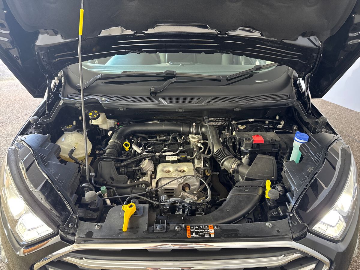 Used Ford Ecosport 2023 for sale - 77893905: Photo 33