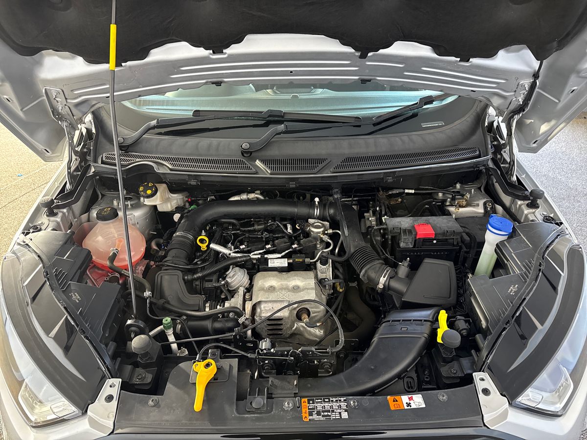 Used Ford Ecosport 2019 for sale - 76709422: Photo 33