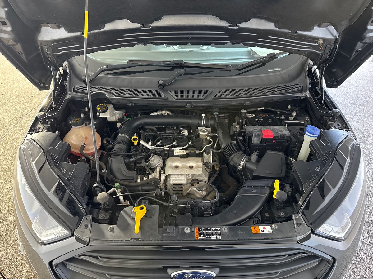 Used Ford Ecosport 2019 for sale - 76404647: Photo 33