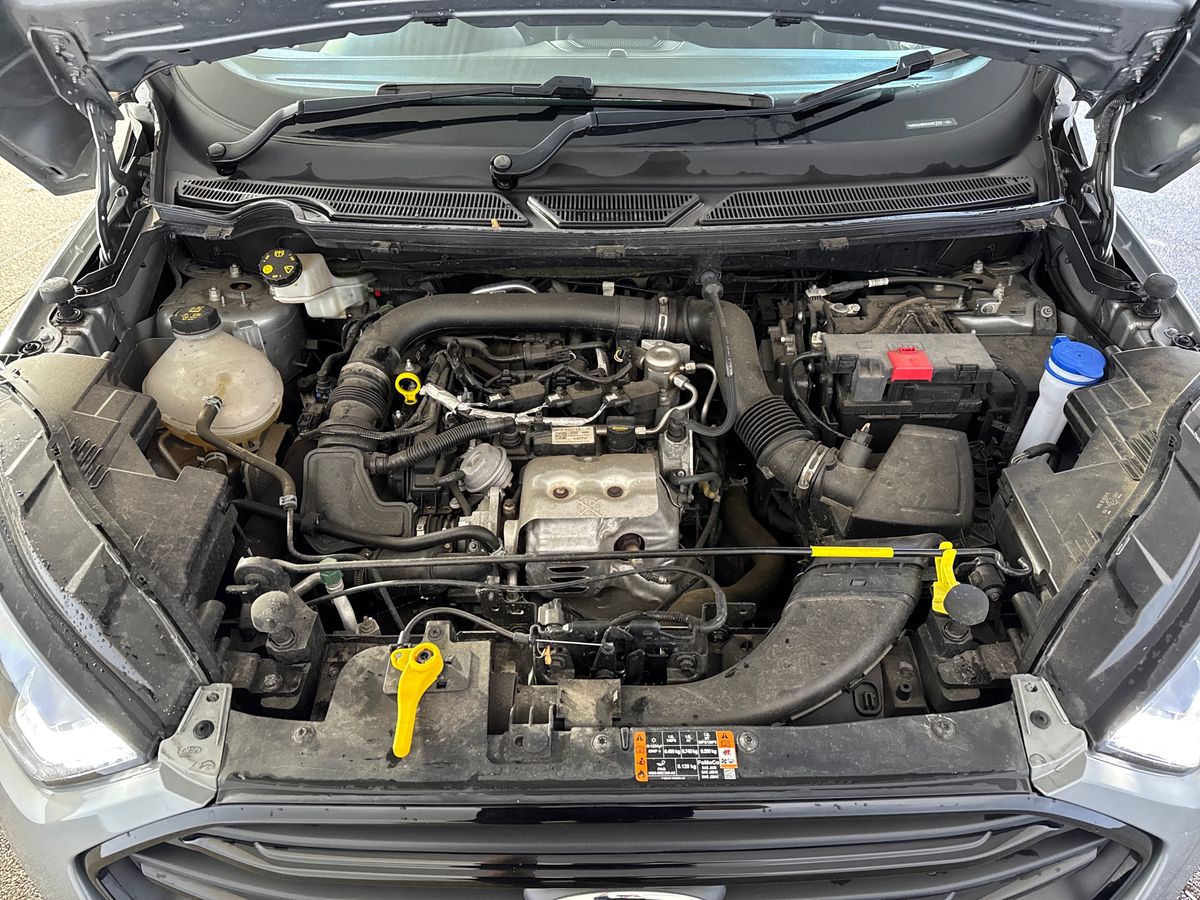 Used Ford Ecosport 2022 for sale - 77942086: Photo 33