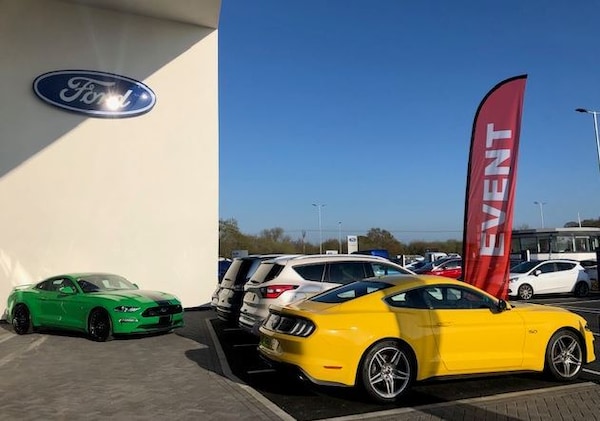 Used Ford Mustang for sale - 75467411: Photo 12