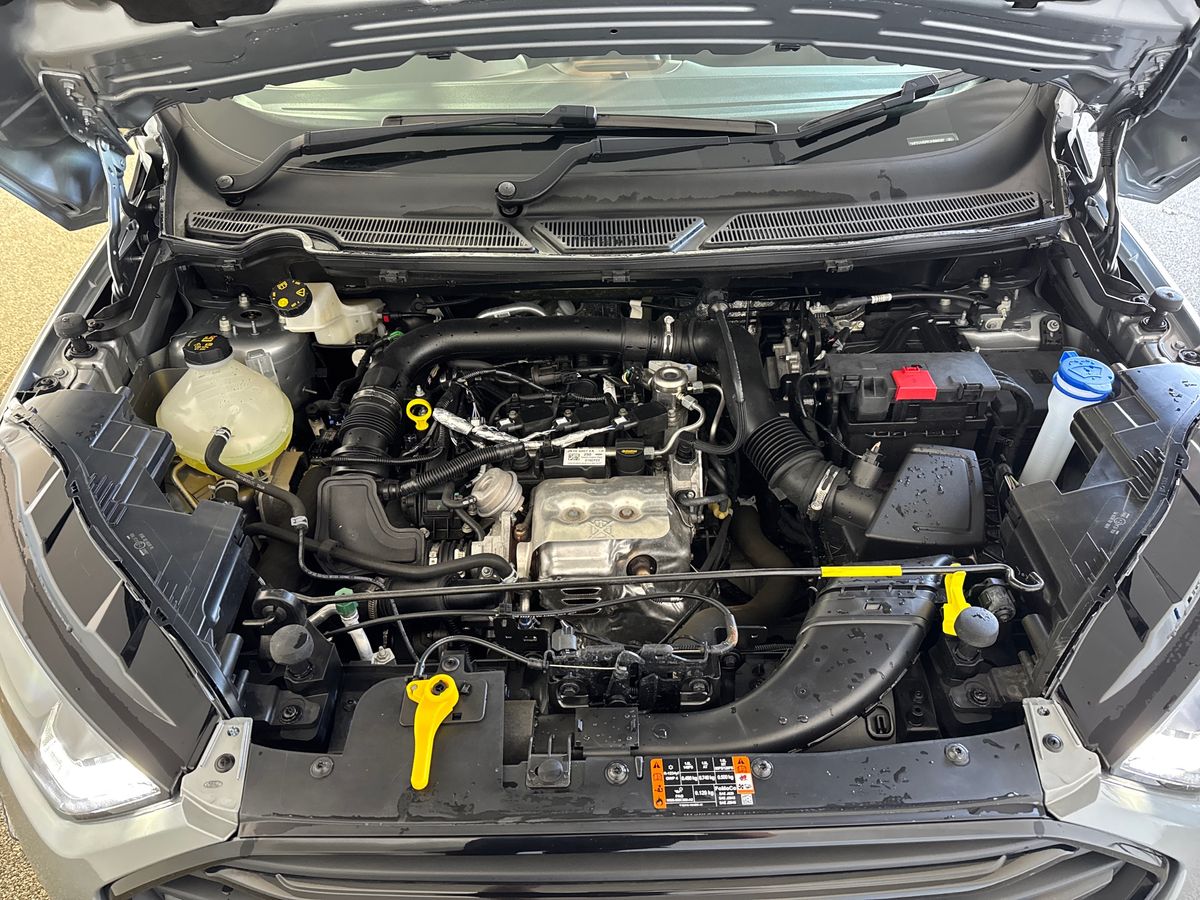 Used Ford Ecosport 2023 for sale - 77942032: Photo 33