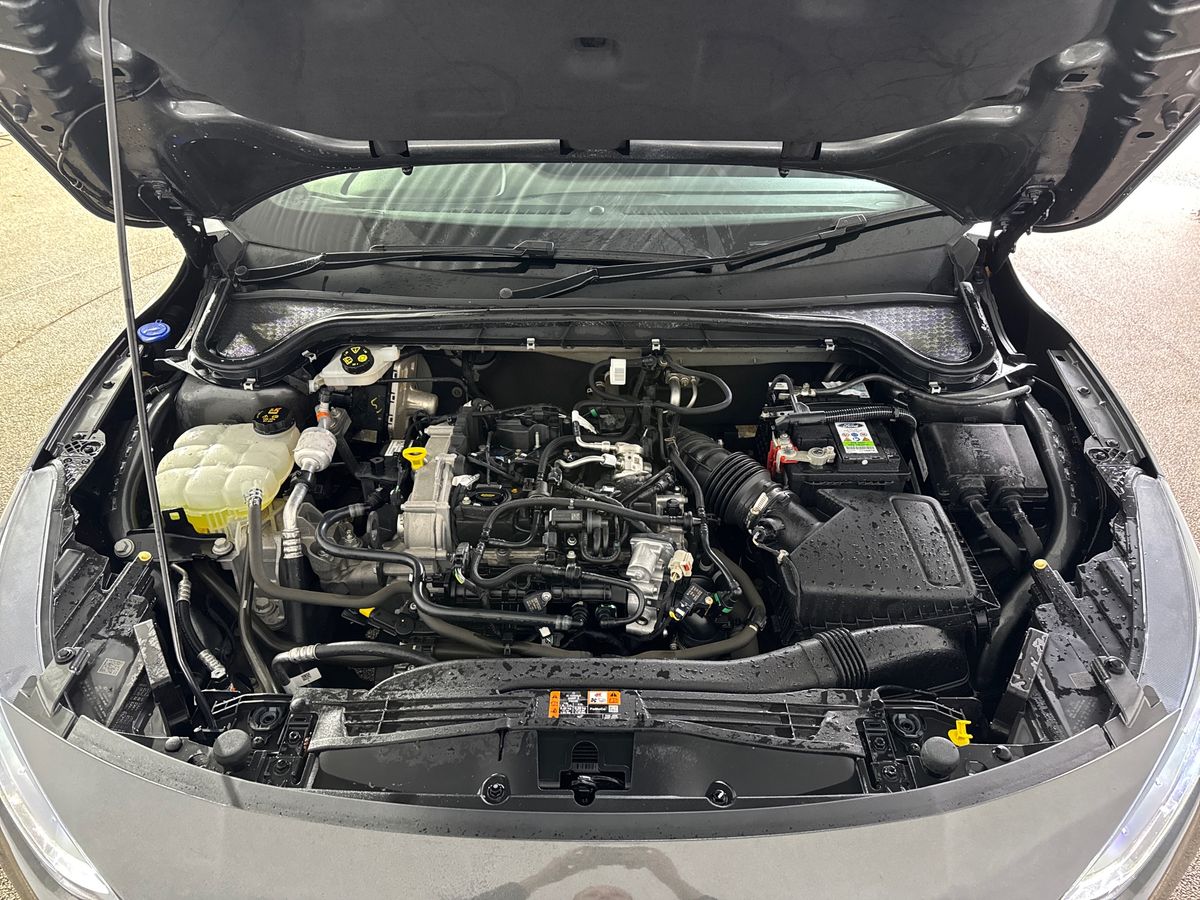 Used Ford Focus 2023 for sale - 77178102: Photo 33