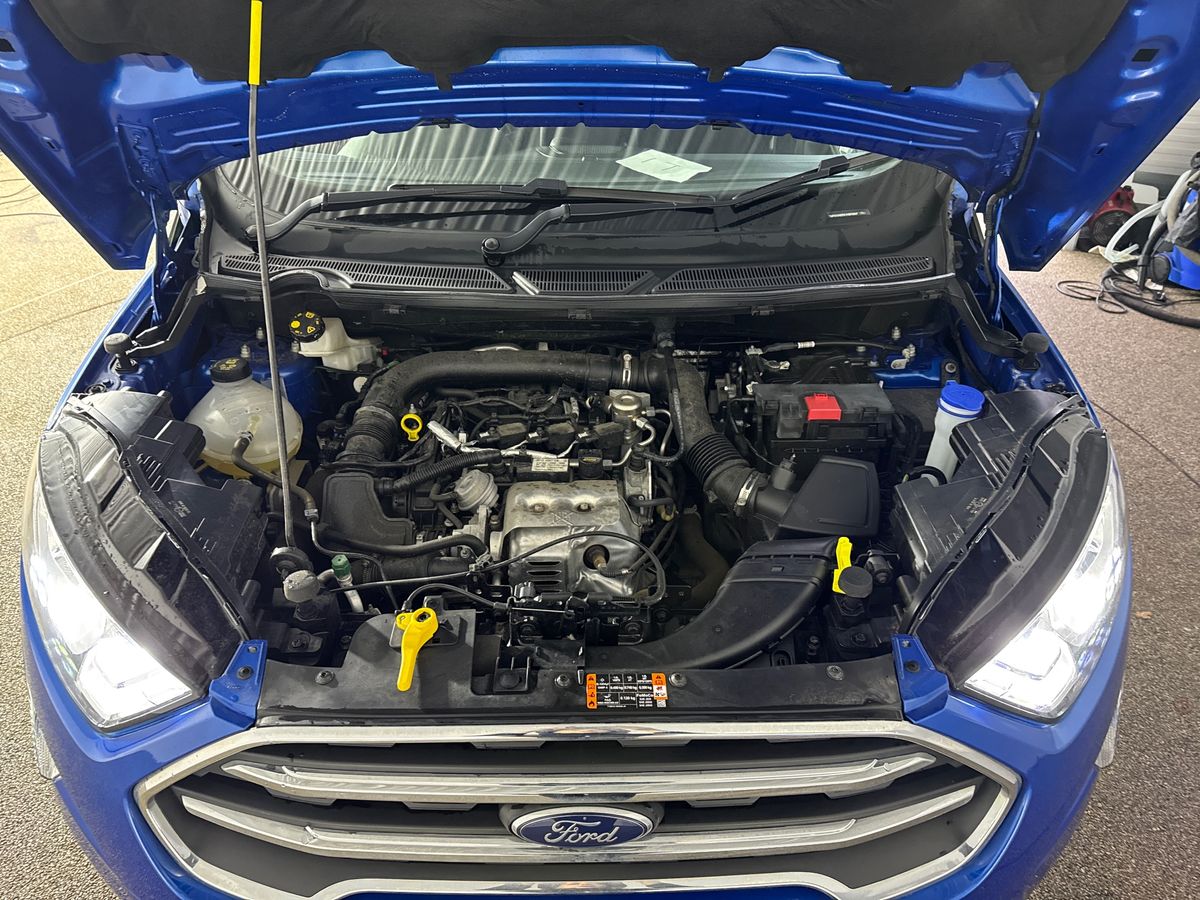 Used Ford Ecosport 2023 for sale - 77614436: Photo 33