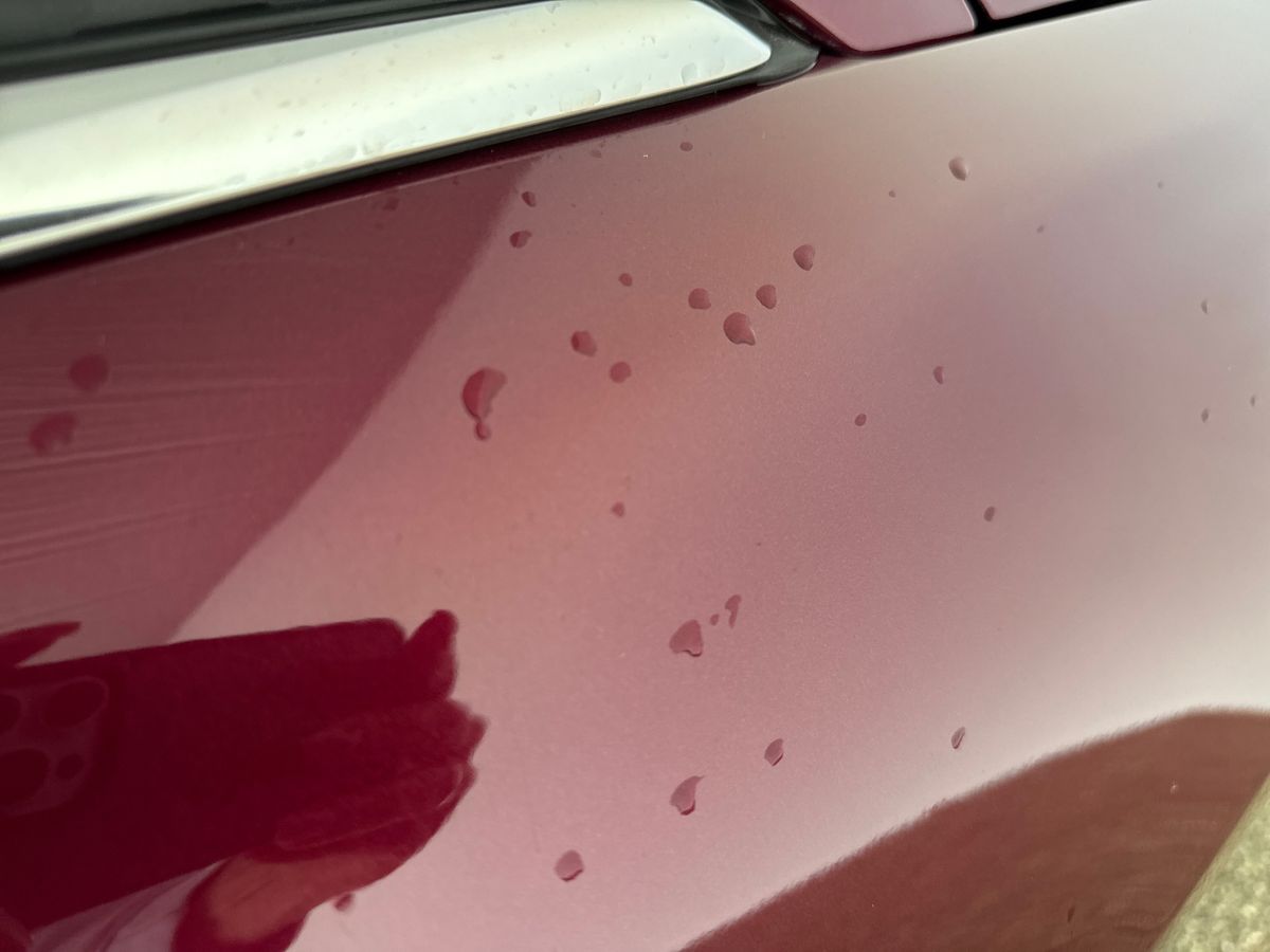 Used Ford Fiesta 2022 for sale - 76519372: Photo 31