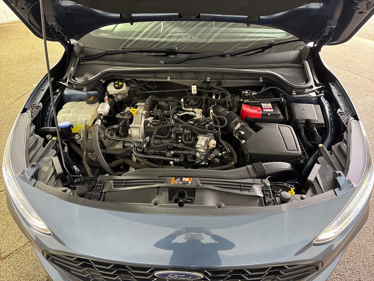 Used Ford Focus 2023 for sale - 77795153: Photo 33