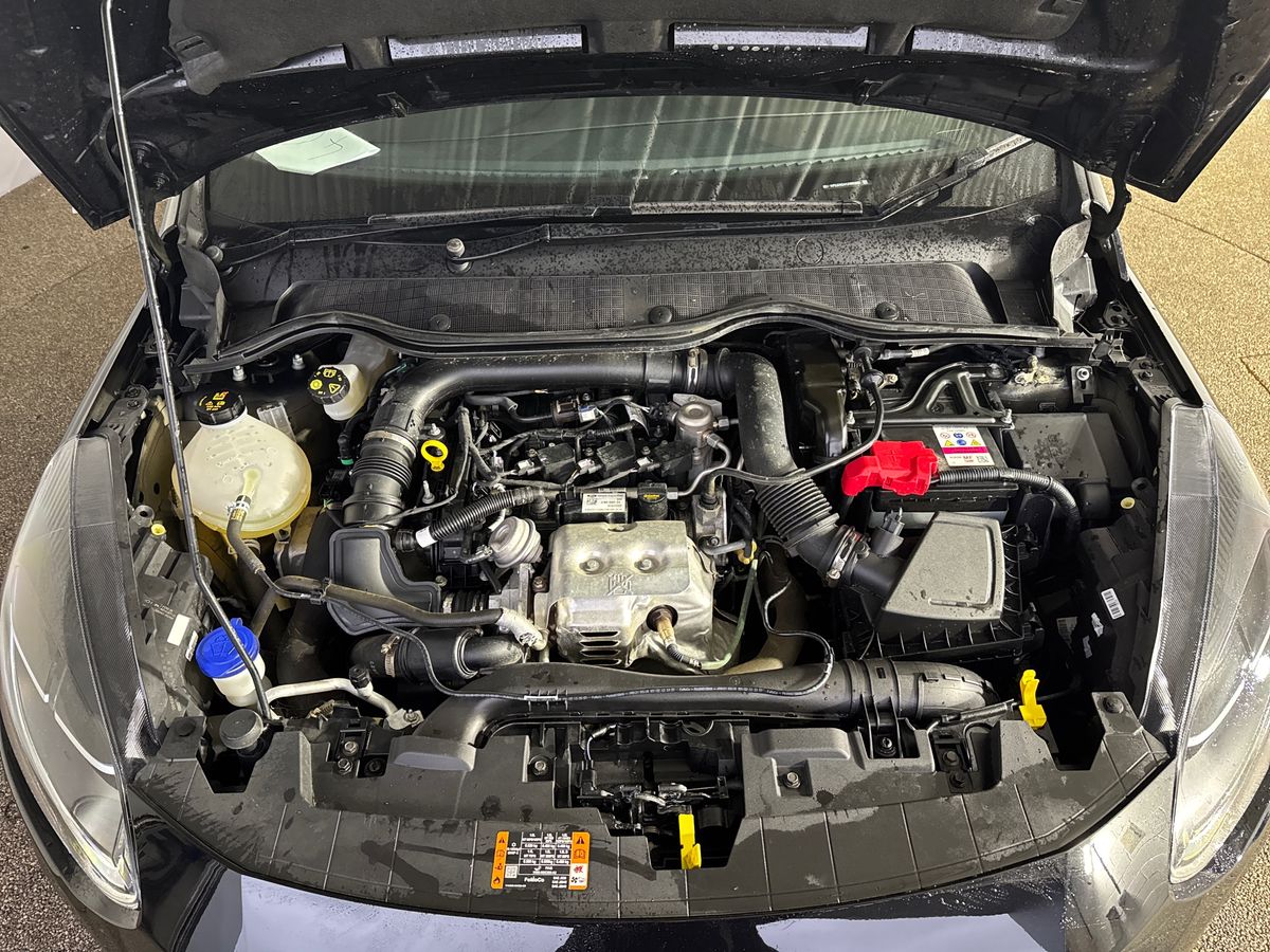 Used Ford Fiesta 2022 for sale - 76894553: Photo 33