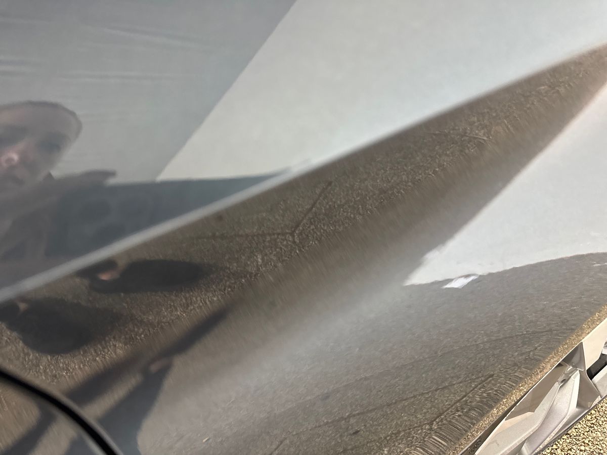 Used SEAT Leon 2023 for sale - 76062127: Photo 31