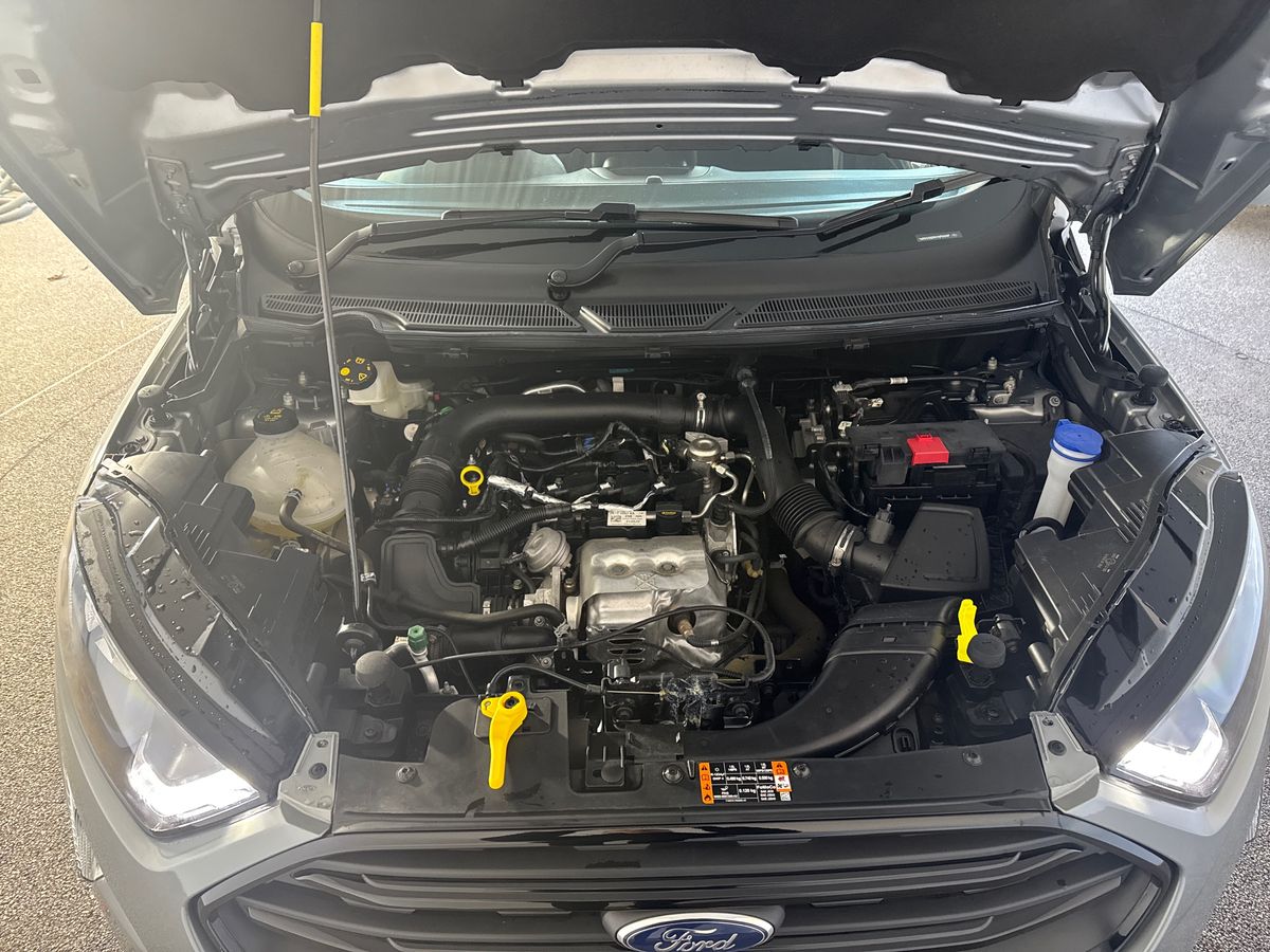 Used Ford Ecosport 2022 for sale - 77160709: Photo 33