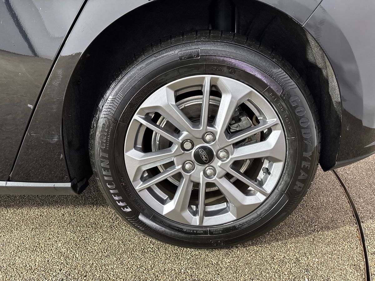 Used Ford Focus 2023 for sale - 77795076: Photo 14