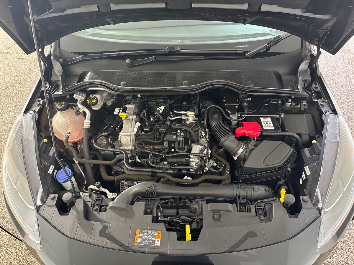 Vehicle 33