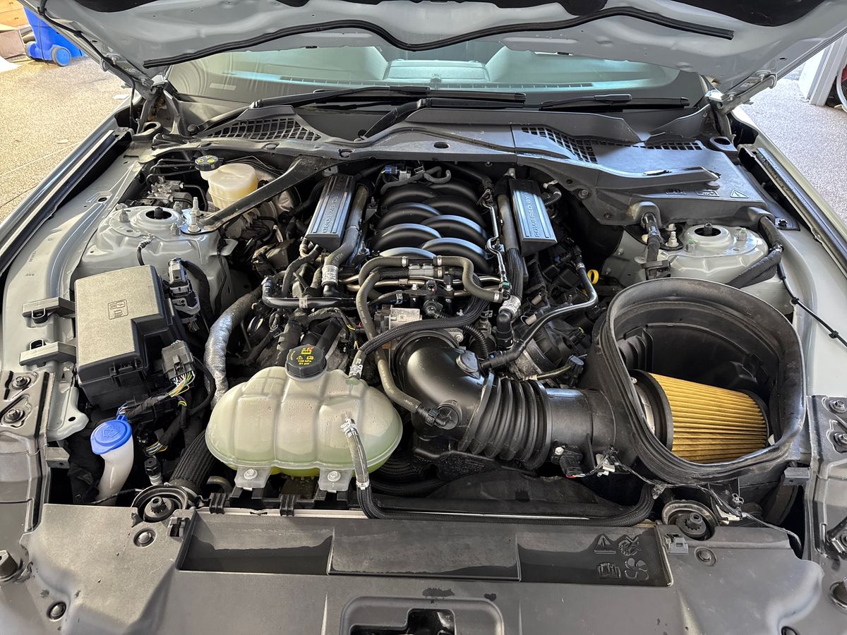 Used Ford Mustang 2023 for sale - 77893893: Photo 33