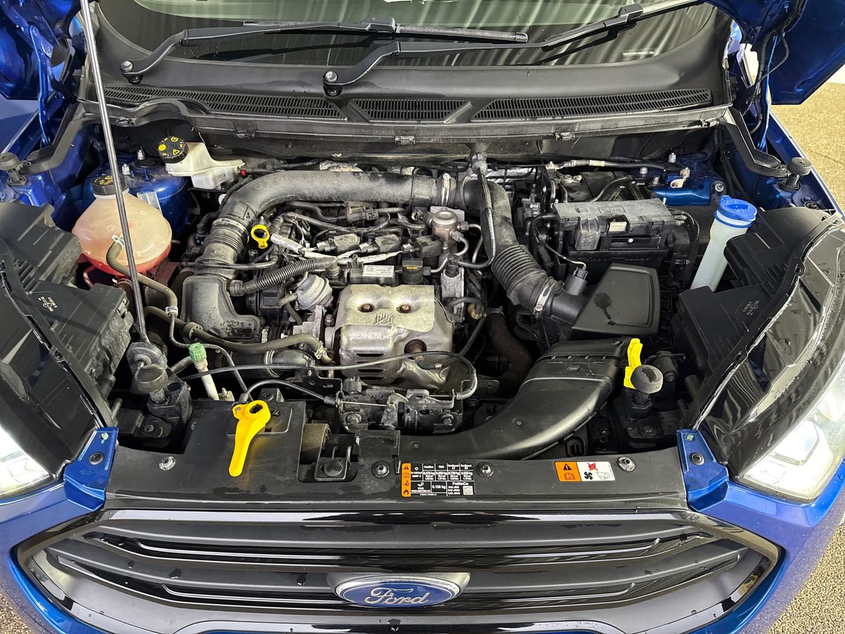 Used Ford Ecosport 2019 for sale - 77428188: Photo 33