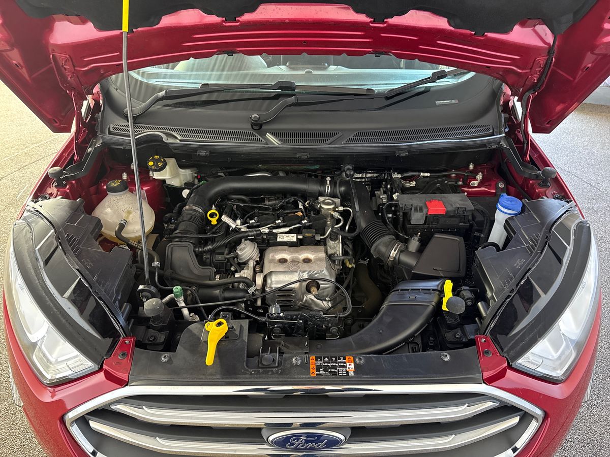 Used Ford Ecosport 2022 for sale - 76652411: Photo 33