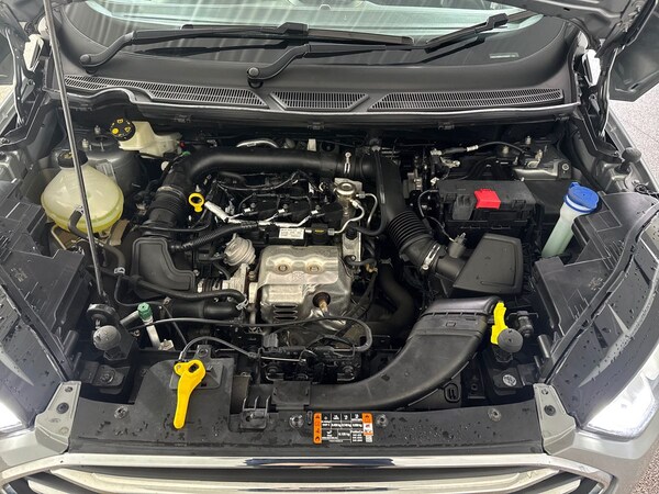 Used Ford Ecosport 2022 for sale - 76007909: Photo 33
