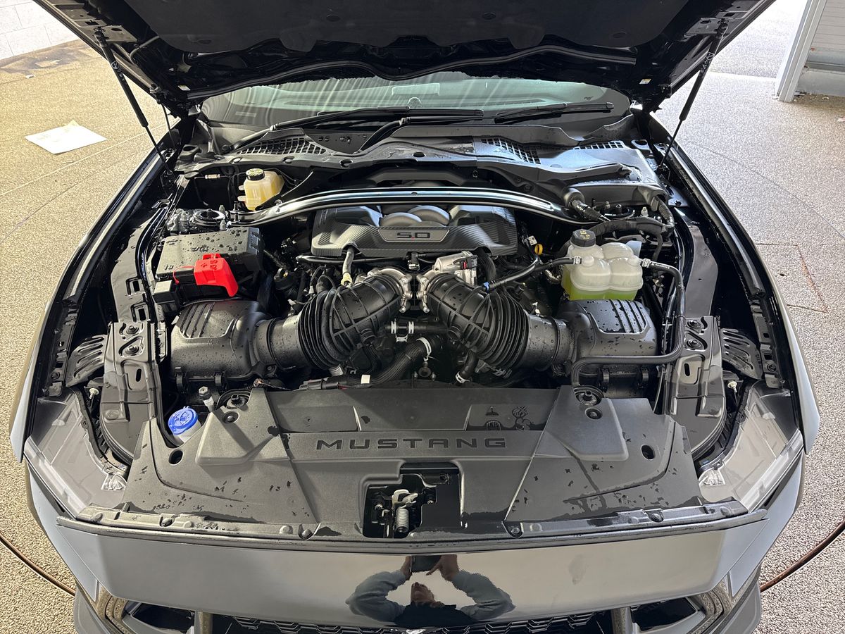 Used Ford Mustang 2025 for sale - 76229176: Photo 33