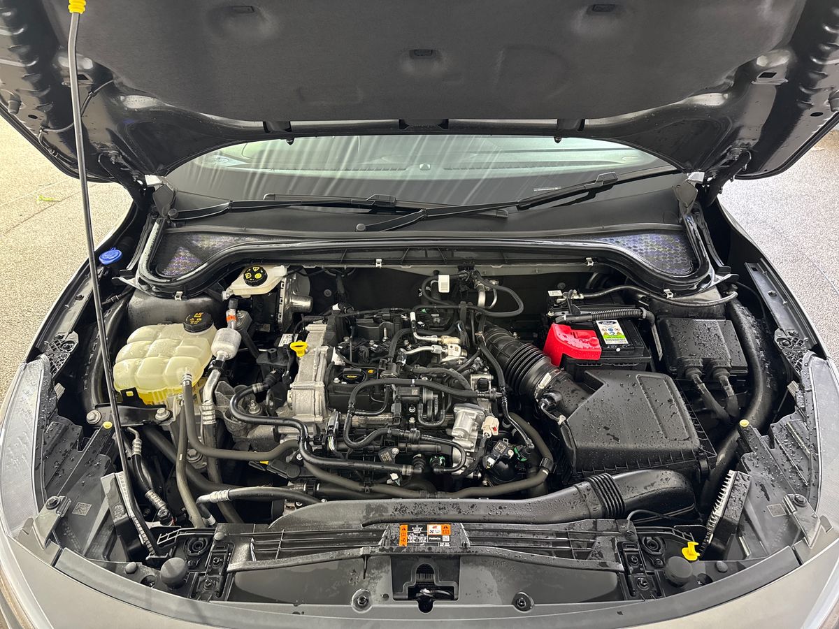 Used Ford Focus 2024 for sale - 76921894: Photo 33