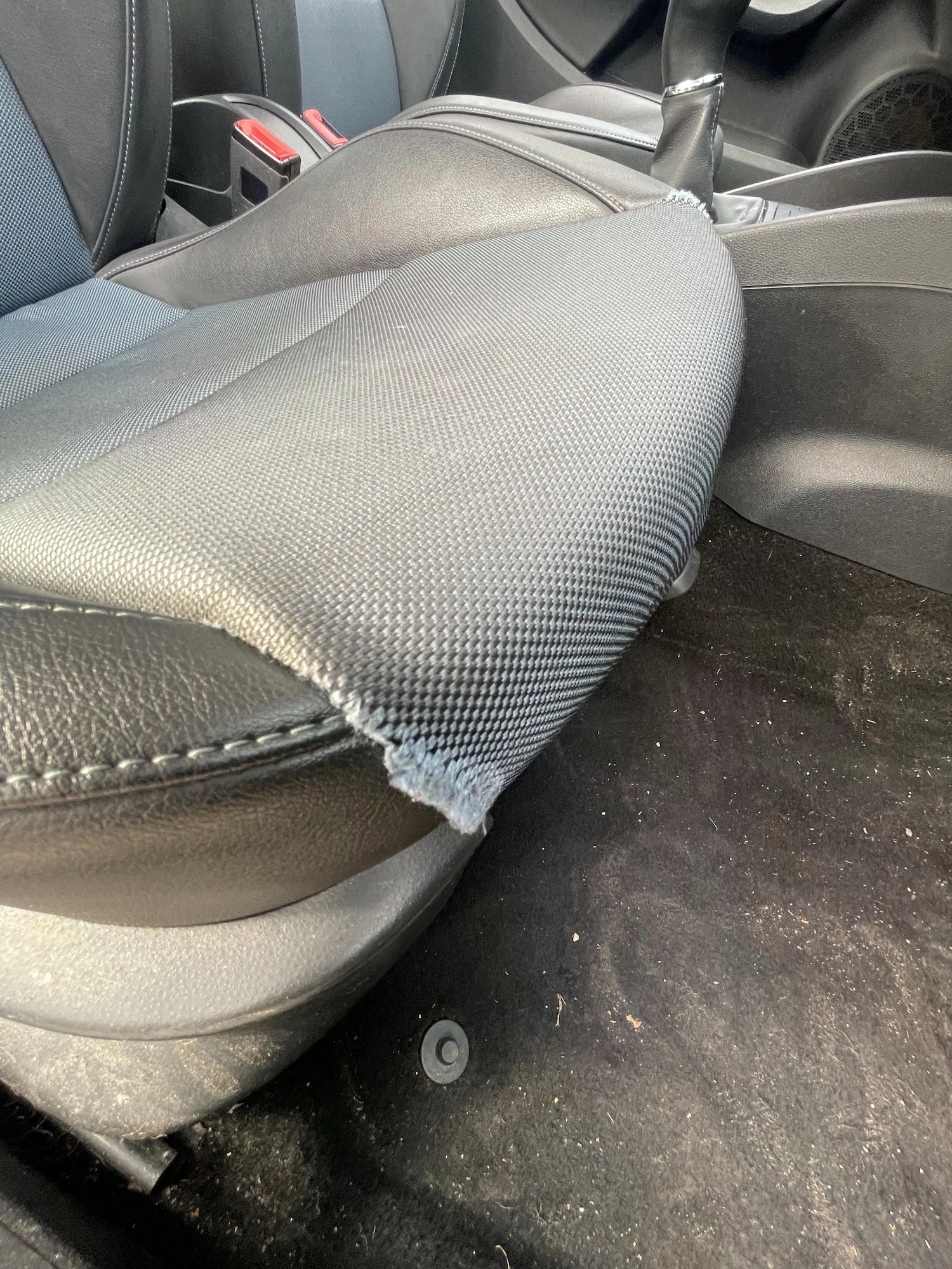 Used SEAT Ibiza 2016 for sale - 77736983: Photo 16